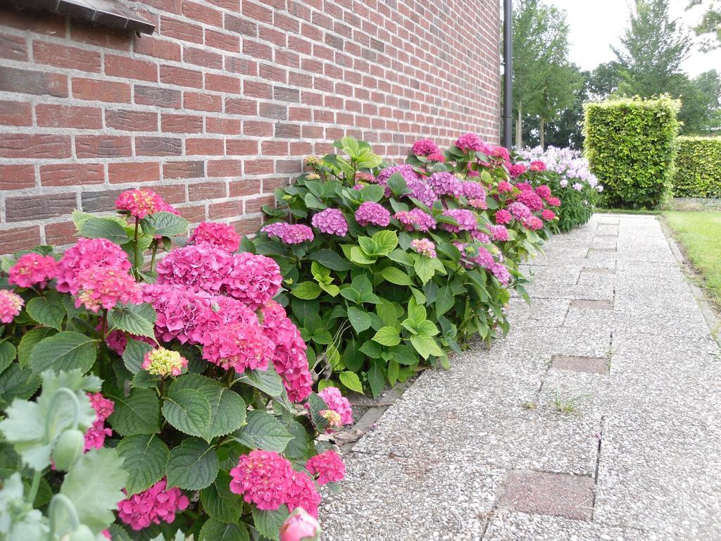 Nicolaashoeve Beemster Bed & Breakfast Noordbeemster Exterior foto
